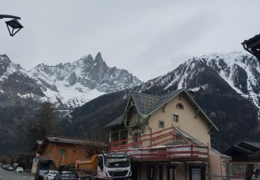 Trail Walking Chamonix-Mont-Blanc - Les Praz Les Tines  - Photo