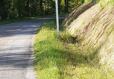 Randonnée Marche Châteauneuf-la-Forêt - Châteauneuf la foret - Photo