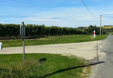 Excursión A pie Lannes - De Lannes à Mézin, le parfum de l'Armagnac-Ténarèze 9.6 km - Photo