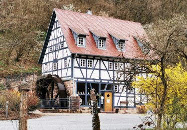 Tour Zu Fuß Gräfendorf - Blauer Pilz, Rundwanderweg Gräfendorf - Photo