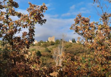 Trail Walking Rochefort-en-Valdaine - tmpWriteApidae_267713_fr - Photo