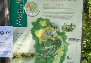Tour Wandern Curienne - Boucle de curienne  - Photo