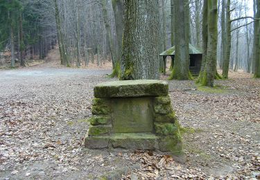 Excursión A pie Linsengericht - Linsengerichter Rundwanderweg Nr.3 - Photo