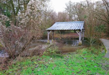 Trail Walking Saint-Georges-sur-Cher - Saint-Georges-sur-Cher - Vrigny la Rabotière - 5.8km 50m 1h25 - 2021 12 26 - Photo