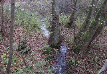 Randonnée A pied Inconnu - Bismarckturm, Naturparkweg 4 - Photo