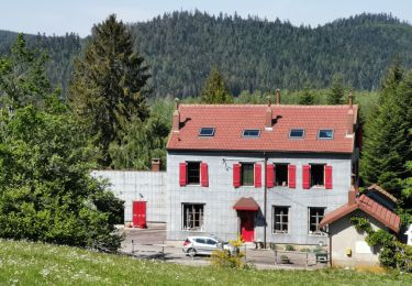 Trail Walking Le Tholy - sentier du blaireau jusqu'en Ecosse - Photo