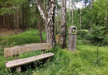 Percorso A piedi Speichersdorf - Speichersdorf Rundwanderweg Nr. 5 - Photo