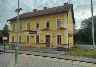 Excursión A pie Hořice na Šumavě - [Ž] Muckov - Hořice na Šumavě - Photo