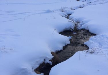 Excursión Raquetas de nieve Formiguères - Lac d’olive  - Photo