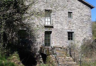 Trail Walking Bièvre - Marche Adeps 5,5 km - Photo