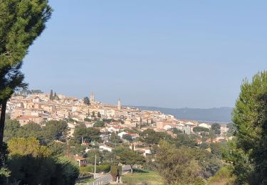 Tocht Stappen La Cadière-d'Azur - la cadiere d'azur - Photo