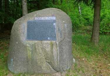 Randonnée A pied Südheide - Südheide 'Der Urwald im Lüß' W8l (lange Tour) - Photo