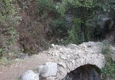 Randonnée Marche Breil-sur-Roya - Grazian  - Photo