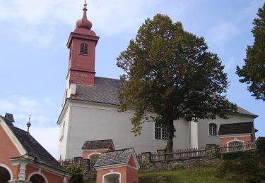 Tour Zu Fuß St. Radegund - Wanderweg 28 - Photo