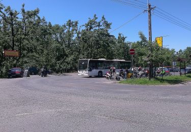 Tocht Te voet Pilisszántó - S+ (Cigány-puszta - Mária-pad - Dobogókői-tisztás) - Photo