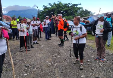 Tocht Stappen Le Lorrain - Mornes Capot / Lorrain Martinique - Photo