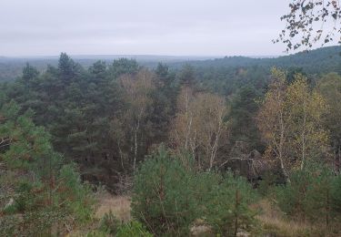 Randonnée Marche Fontainebleau - Fontainebleau franchart 14kms 422m - Photo
