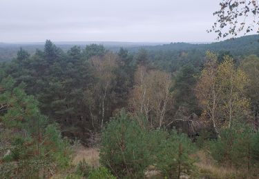 Excursión Senderismo Fontainebleau - Fontainebleau franchart 14kms 422m - Photo