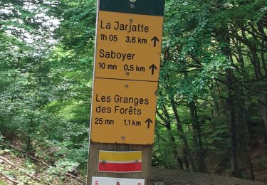 Percorso Marcia Lus-la-Croix-Haute - gîte la bergerie(vallon jarjatte)col de la croix , partie des crêtes et demi tour - Photo