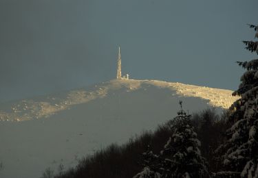 Trail On foot  - Valea Arieșul Mare - Cucurbăta Mare (Vf. Bihor) - Photo