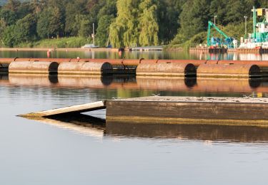 Percorso A piedi Lüdinghausen - Heimingshof Rundweg A2 - Photo