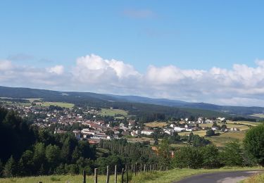 Tour Wandern Pradelles - Pradelles Le Cheylard l Eveque - Photo