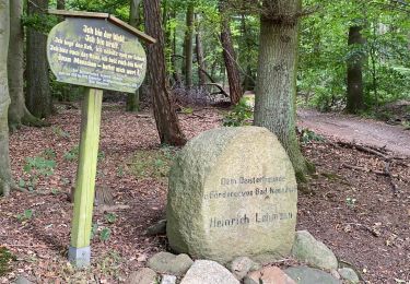 Tocht Te voet Auetal - Rundwanderweg 2 Bad Nenndorf - Photo