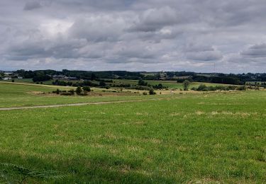 Trail Walking Habay - Anlier 310721 - Photo