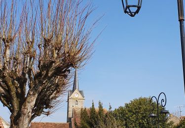 Tocht Stappen Savigny-le-Temple - Entre Savigny-le-Temple et Seine-Port - Photo