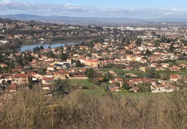 Randonnée Marche Neuville-sur-Saône - Neuville  - Photo