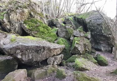 Excursión Senderismo Durbuy - oro ac 3 - Photo