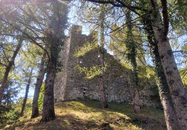 Tour Wandern Varenna - Sentiero del Viandante Varenna à Bellona - Photo