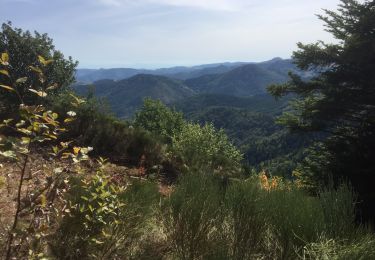 Trail Walking Saint-Martial - Gerbier de Jonc par St Martial - Photo