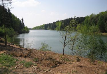 Trail On foot Wipperfürth - Rundwanderweg A2 rund um Wasserfuhr - Photo