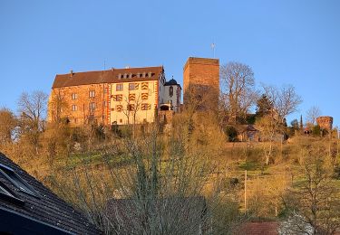 Randonnée A pied Werbach - Rundwanderweg Gamburg 1 - Photo