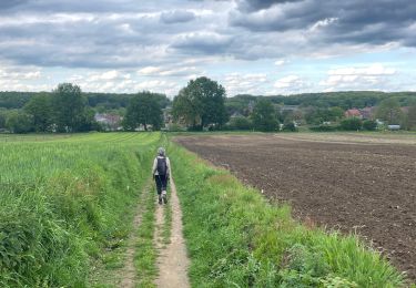 Tocht Stappen Aarschot - Gelrode -Arschot - Photo