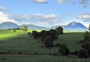 Randonnée Marche La Chapelle-Agnon - Chapelle_Agnon_Pierre_Blanche - Photo