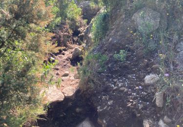 Tour Wandern Calvi - Pointe de la bêta - Photo