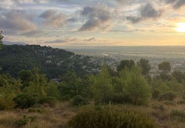 Trail Trail Sainte-Tulle - Trou du Loup(12,5K 330D+) - Photo