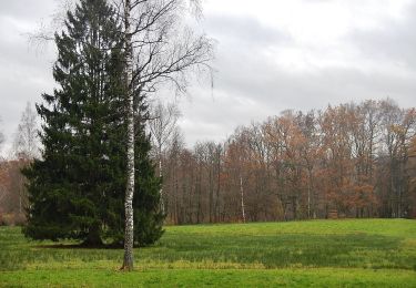 Tocht Te voet Magstadt - DE-SAV Blaues Hufeisen, von - nach? - Photo