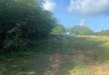 Trail Trail Sainte-Anne - Modette  - Photo