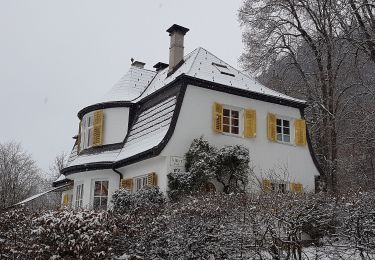 Tour Zu Fuß Stadt Kufstein - Elfenhain-Trail - Photo