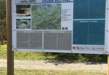 Trail Walking Céret - Fontfrede -pic des salines par el coll de pois de neu - Photo