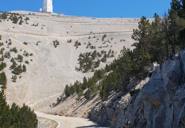 Tour Mountainbike Malaucène - Ventoux Malaucene - Photo