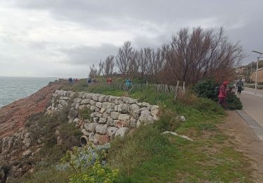 Randonnée Marche Sète - le grand tour de Sète par les pierres blanches  - Photo