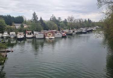 Tour Wandern Draveil - Port aux Cerises  - Photo