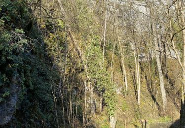Tour Wandern Dinant - Pays de Leffe - Photo