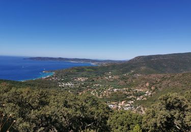 Tour Wandern Le Lavandou - les hauts de cavalière - Photo