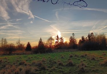Trail Walking Malmedy - baraque botrange baraque  - Photo