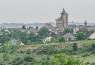 Tour Zu Fuß Sainte-Radegonde - Circuit 14 Sainte-Radegonde - Photo